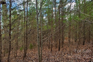 0 N Dakota Dr Unit 343 CAR3897503, Rutherfordton, NC 28139