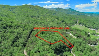 Par 87.03 Overview Way, Newport, TN 37821