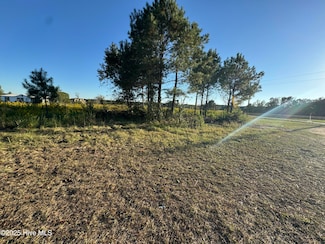 3268 Beargrass Rd, Stokes, NC 27884