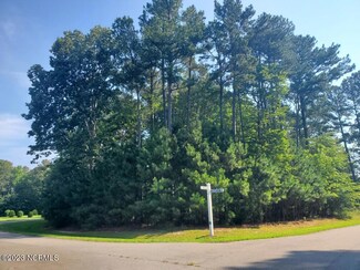 44 Arabian, Hertford, NC 27944
