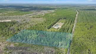5+/- AC Blues Reach Rd, Townsend, GA 31331