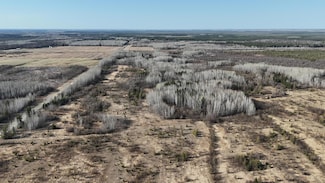 TBD County Road 14, Littlefork, MN 56653