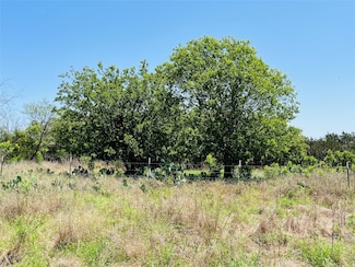 TBD W Fm 243, Bertram, TX 78605