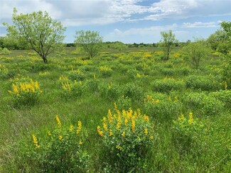 TBD Dagnan Rd, Dorchester, TX 75459