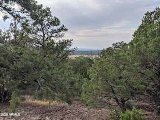 lot 76 N Dolly Dr Unit 76, Vernon, AZ 85940