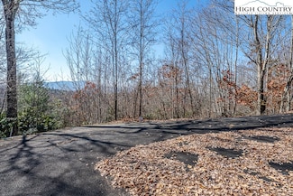 79 Bear Creek Ln, Elk Park, NC 28622