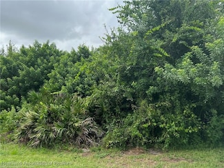 5019 Lafayette Ave, Sebring, FL 33875