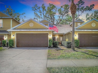 8539 Sandpiper Ridge Ave, Tampa, FL 33647