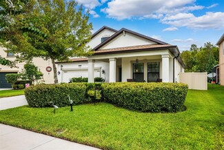 21395 Southern Charm Dr, Land O' Lakes, FL 34637