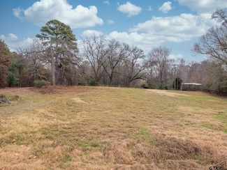 3.938 Acres on Cr 3202, Chandler, TX 75758