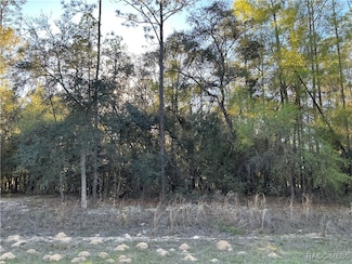 8468 N Wallingford Ave, Citrus Springs, FL 34434