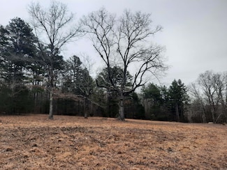 000 Hwy 9 S, Mountain View, AR 72560