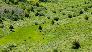 Tbd Co 13 Unit LotWP001, Rifle, CO 81650