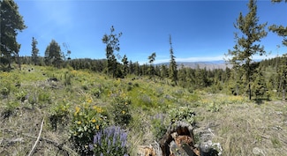 0 XX Melvin Rd, Waterville, WA 98858