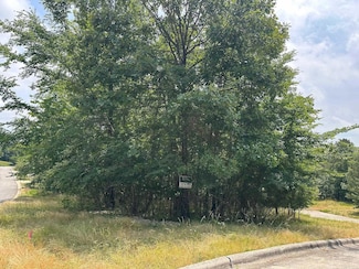 117 Dellmere Cove, Hot Springs, AR 71913