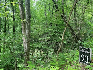 Lot 93 Alarka Highlands Dr, Bryson City, NC 28713