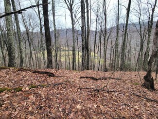 820 Chestnut Flats Rd, Waynesville, NC 28786