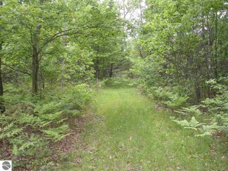 00 13 Mile Rd, Marion, MI 49665