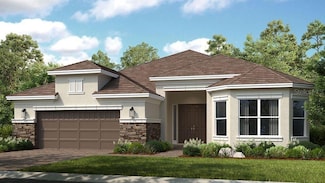 29930 Radice Ct, Wesley Chapel, FL 33545
