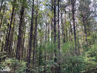 0 Beaver Lake Rd, Fulton, MS 38843