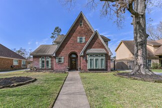 19719 Oak Green Ct, Humble, TX 77346