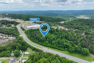 1233 Mill Ln, Irondale, AL 35210