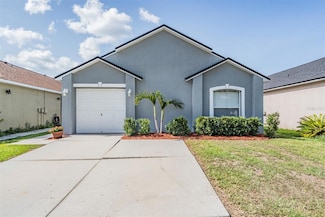 30217 Double Dr, Wesley Chapel, FL 33545