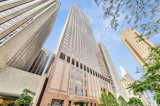 161 E Chicago Ave Unit 53C, Chicago, IL 60611