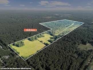 0000 Nash Rd, Harleton, TX 75651