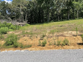 0 Hidden Hills Ln, Summertown, TN 38483