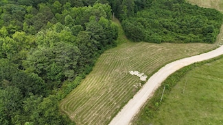 County Road 865, Collinsville, AL 35961