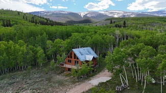1177 Cave Creek Rd, Fairplay, CO 80440