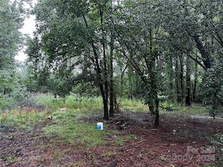 3747 Sam Jones Rd, Patrick, SC 29584