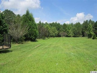 77 ac Emu Rd, Kingstree, SC 29556