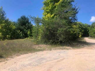 TBD Lakeview, Alanson, MI 49706