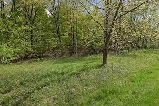 L169 Black Forest Dr, Woodland, WI 53941