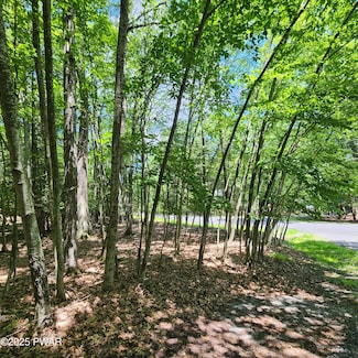 145 & 146 Indian Dr, Palmyra Township, PA 18426