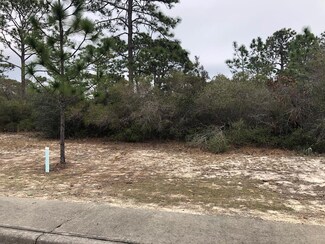 120 Anhinga Trail, Carrabelle, FL 32322