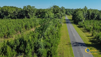 0 Marvis Chapman Rd Unit 22292558, Ideal, GA 31041