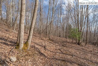 52 Pinnacle Dr, Elk Park, NC 28622