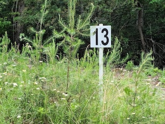 LOT 13 Belle Isle Dr, Union Hall, VA 24176