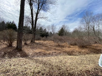 911 Wadi Rd W, Pocono Lake, PA 18347
