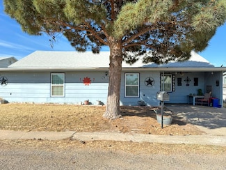 1204 S Mary St, Crane, TX 79731