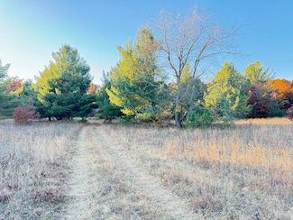 10.05ac Barberry Ave, Brooks Township, MI 49337
