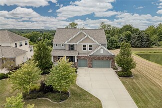 10132 Scenic View Dr, Twinsburg, OH 44087