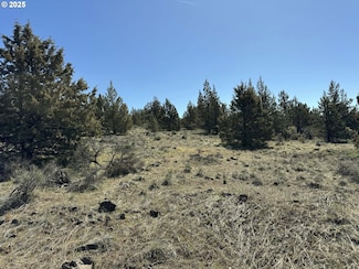 0 Bluebill Ln Unit Lot 3 392552899, Bonanza, OR 97623