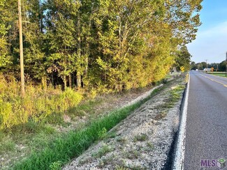 TBA 1-A Louisiana 431, Prairieville, LA 70769