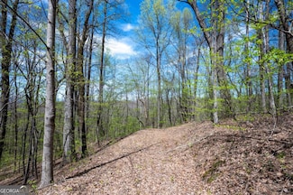 LOT 7R Mountain Falls Loop, Ellijay, GA 30536