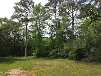 00 Alert, Warrenton, NC 27589