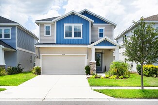 28599 Cozy Creek Dr, Wesley Chapel, FL 33543